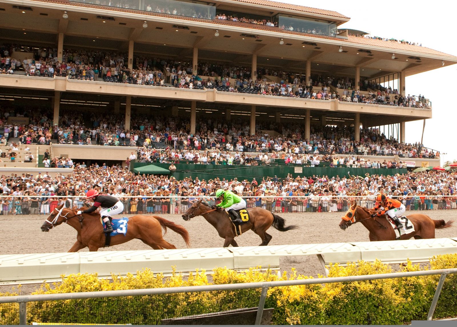 Del Mar Thoroughbred Club Extends its Racing Season